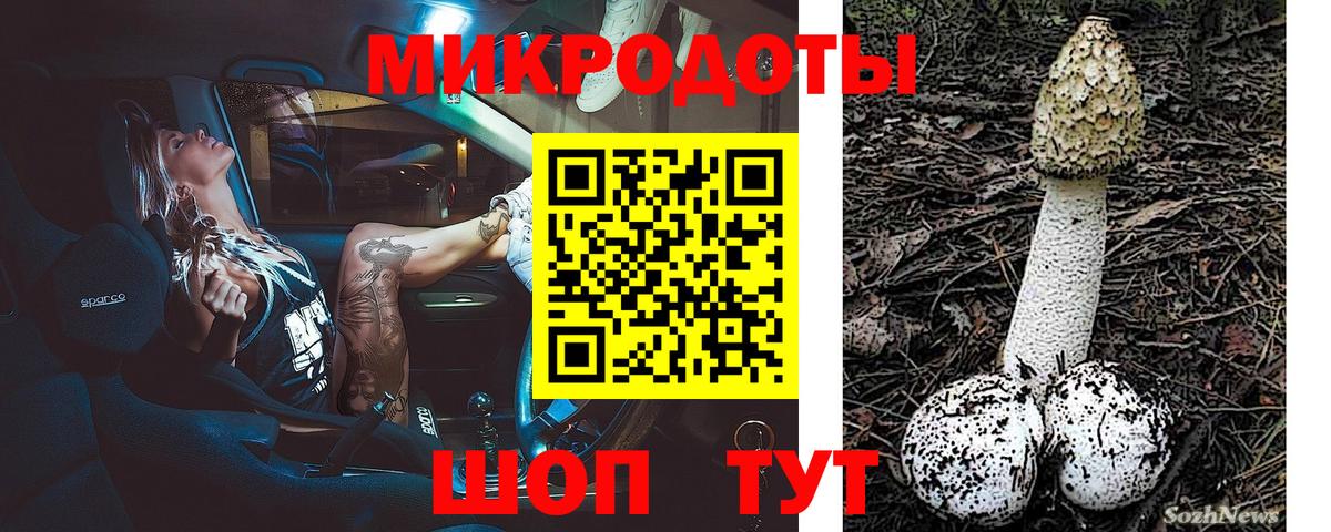 Галлюциногенные грибы Psilocybe Борисоглебск